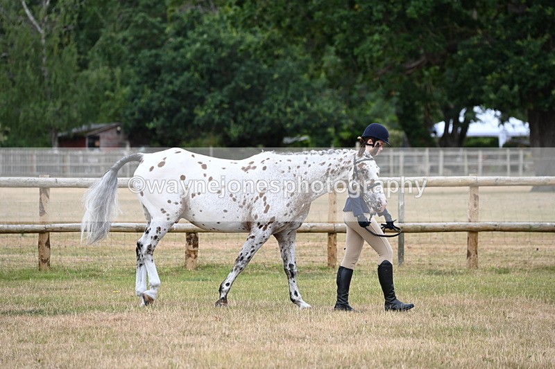 WJ6_4136 - Class 10 Coloured In-hand