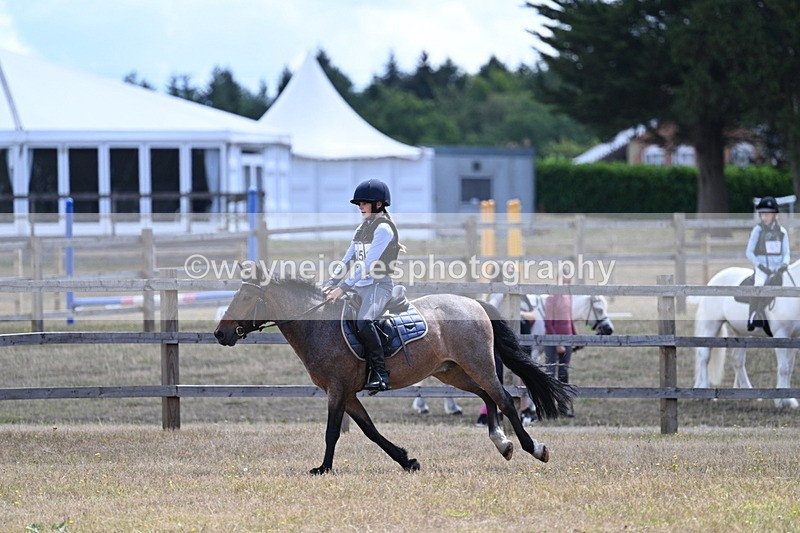 WJ7_0904 - 60cm Time 12:26 to 12:46