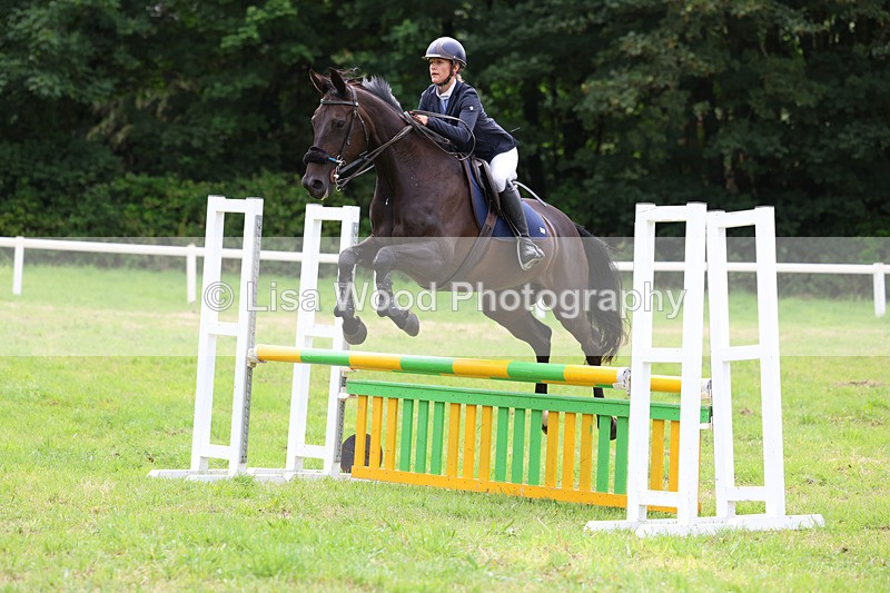 3E7A7351 - Class 5: Senior British Novice/90cm open