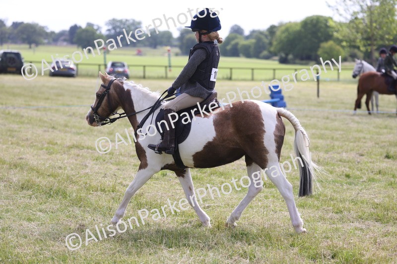 20260614-0696 - Class 20 - Beginners Working Hunter Pony