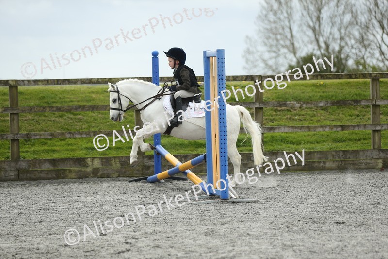 20260412-0701 - Show Jumping