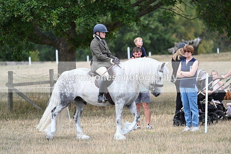 WJ7_5409 - Class 12 Ridden Cob