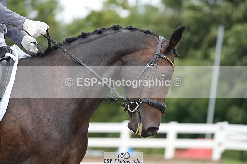 250907-122947-07360 - 096-Anna.JamesCaramia's.voice