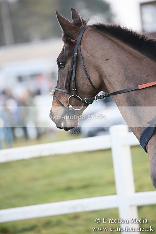 PtP 170219 -715 - Combined Services Point-To-Point Larkhill 17/02/19