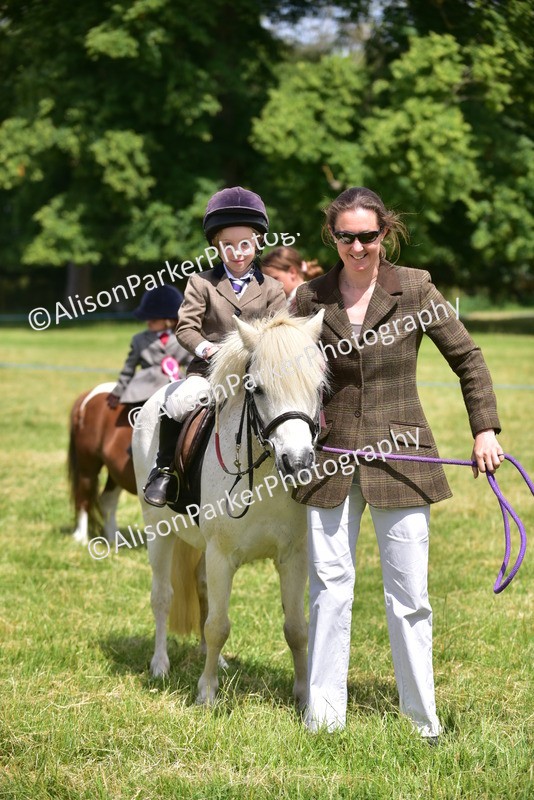 20260614-1317 - Class 11a - Lead Rein Pony (Unplaited)