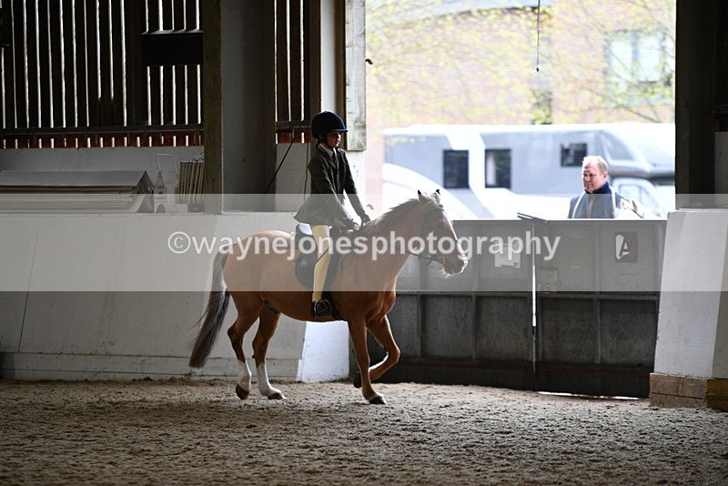 WJ5_6830 - Class 10 Childs Pony