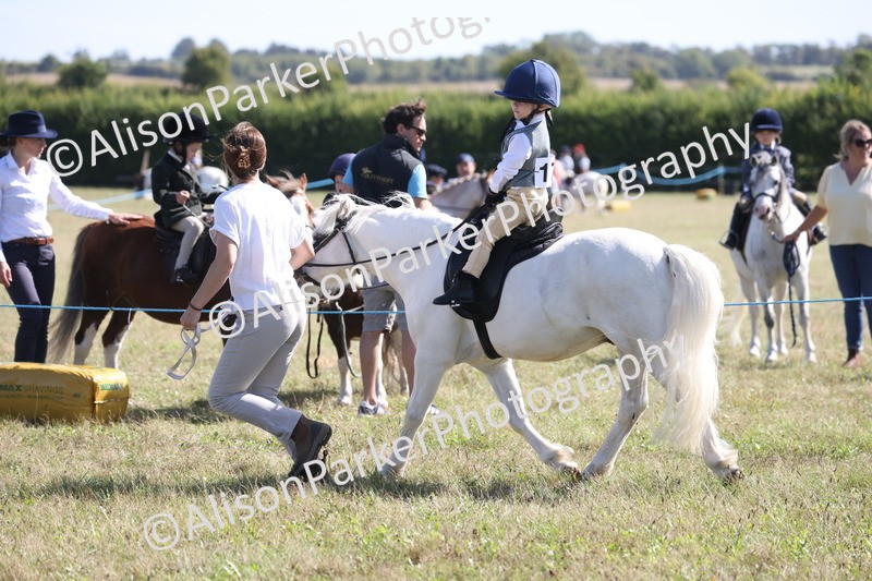 20260906-2291 - Class 16 - Family Pony