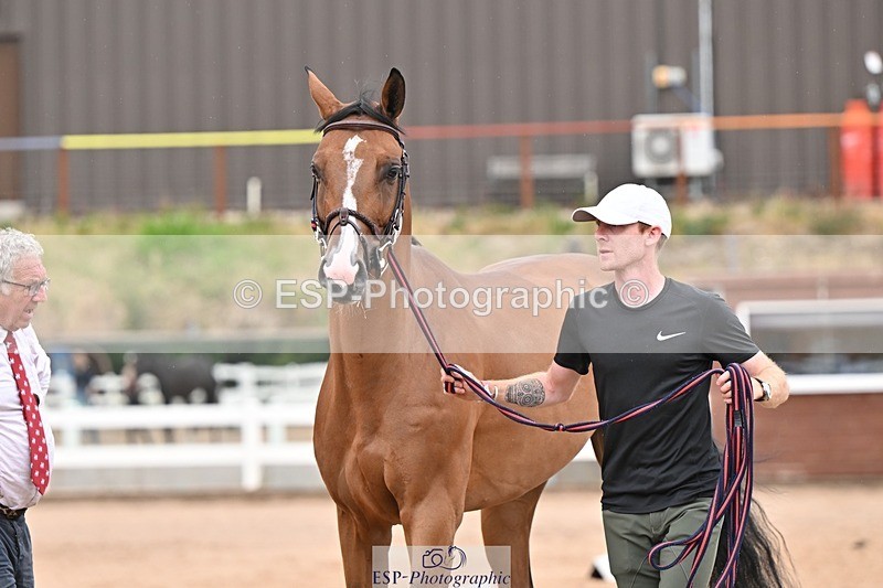 250716-161332-02506 - Trot Up 3.30 to 4.30