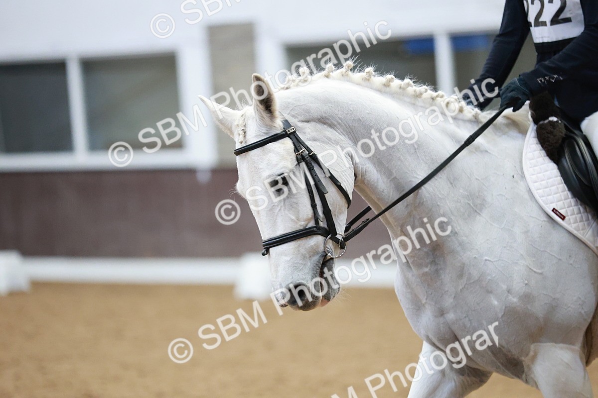 SBM_004346 - Class 2 - Novice 2020