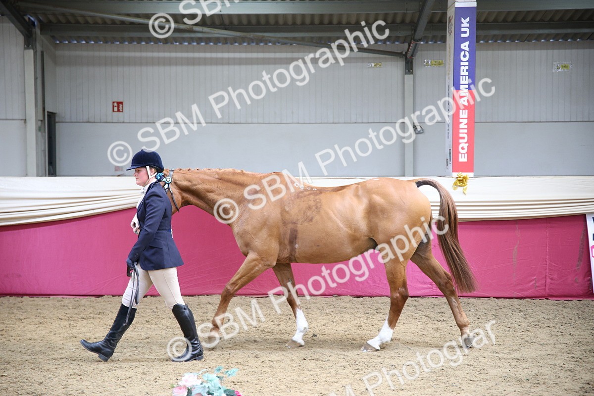 SBM_24280 - Class 905 - Supreme Final - Ridden Veteran