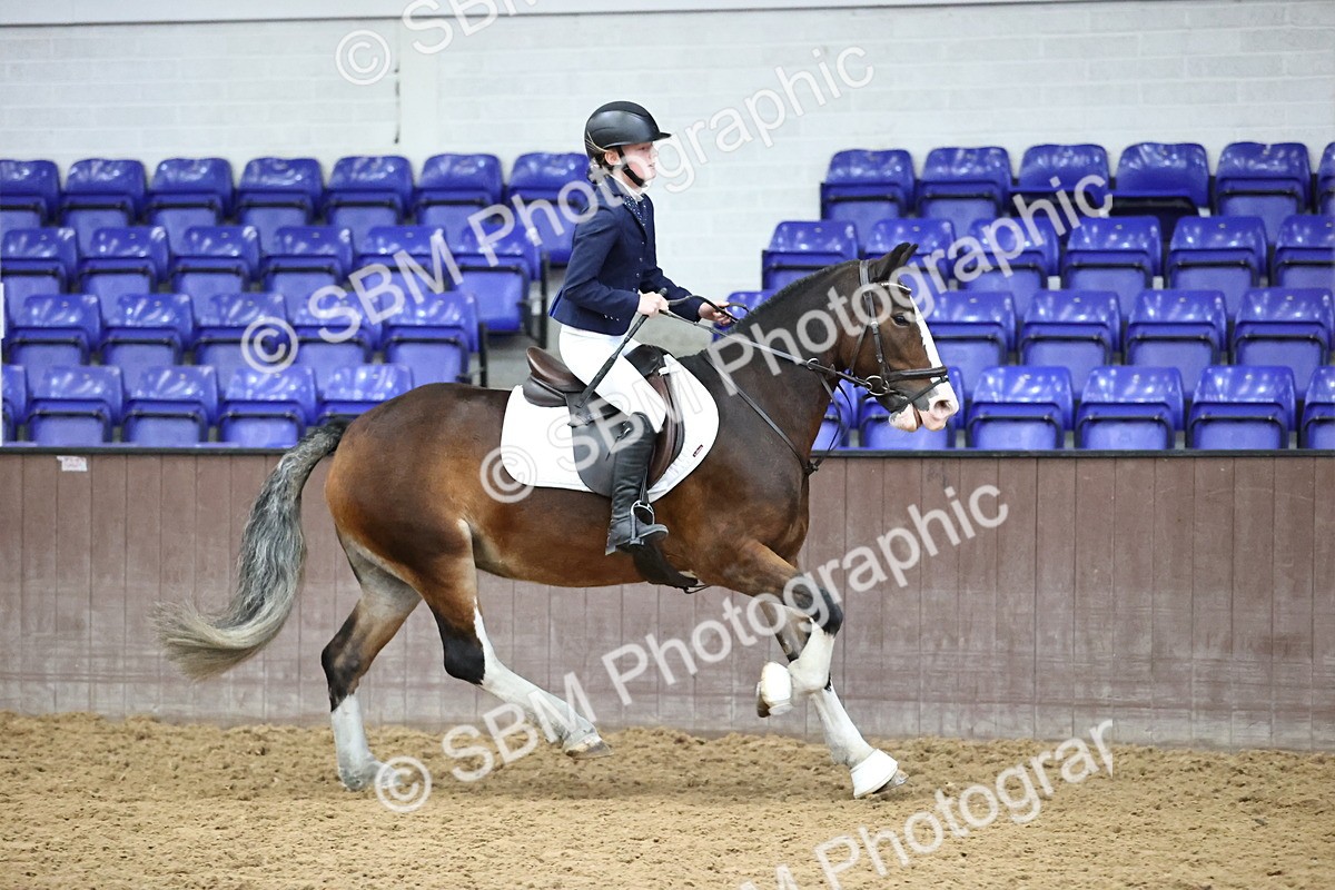 SBM_003283 - Class 10 - STX UK Pony British Novice 80cm