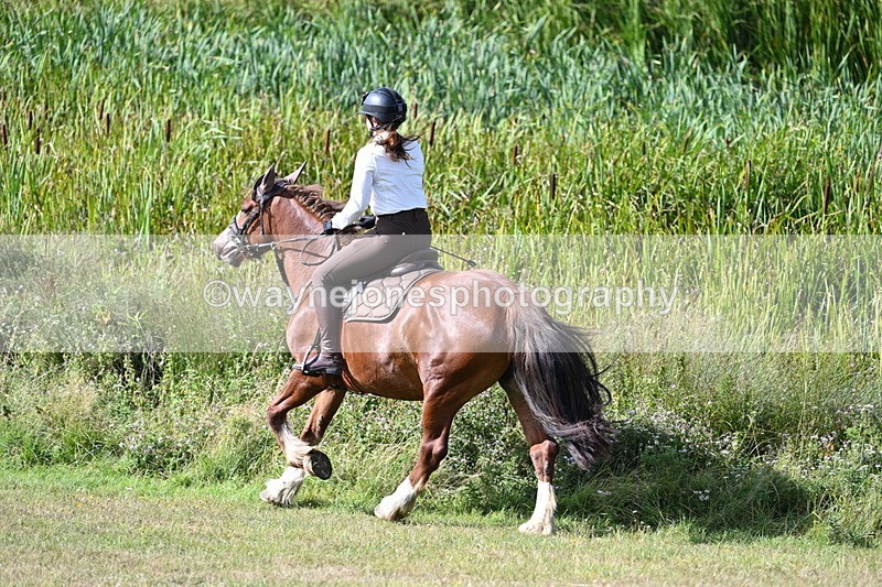 WJ7_3675 - Time 10:33 to 10:53