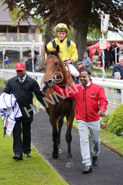 yr11052022r1-32 - Race 1 1.50pm Sky Bet Race to the Ebor Jorvik Stakes