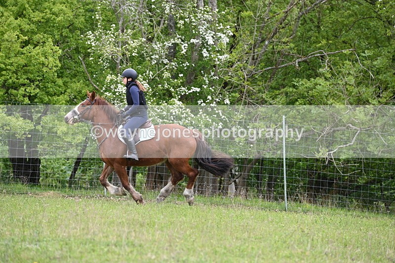 WJ6_1579 - Group 4 A&B Cameras