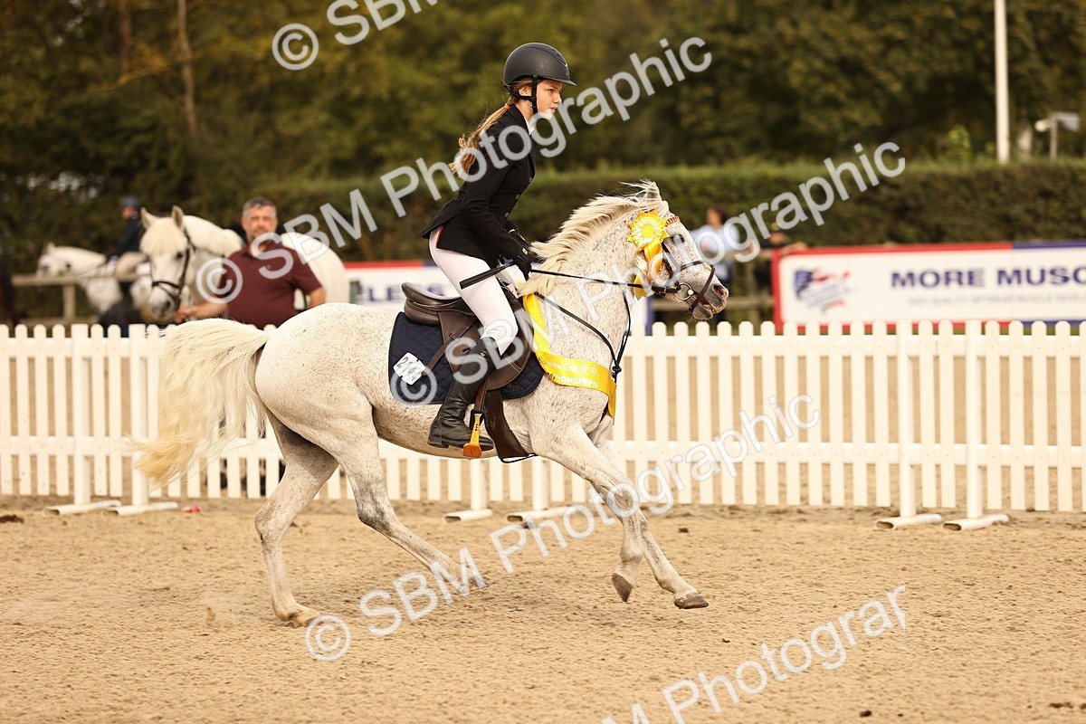 SBM_70865 - J13 - Junior Pony 60cm Championship