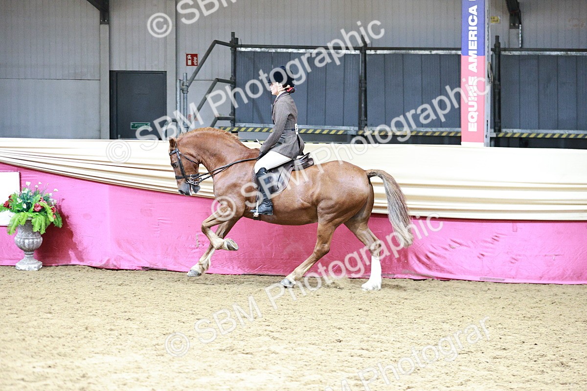 SBM_02207 - Class 4A - Area Ridden Diamond