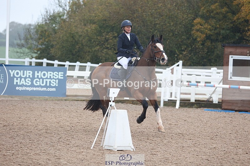 231112A-101316-03251 - Cls 17 Blue Chip Novice Winter Qualifier