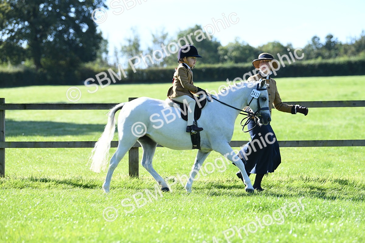 SBM_36797 - S18 - Novice & Newcomers Lead Rein Pony