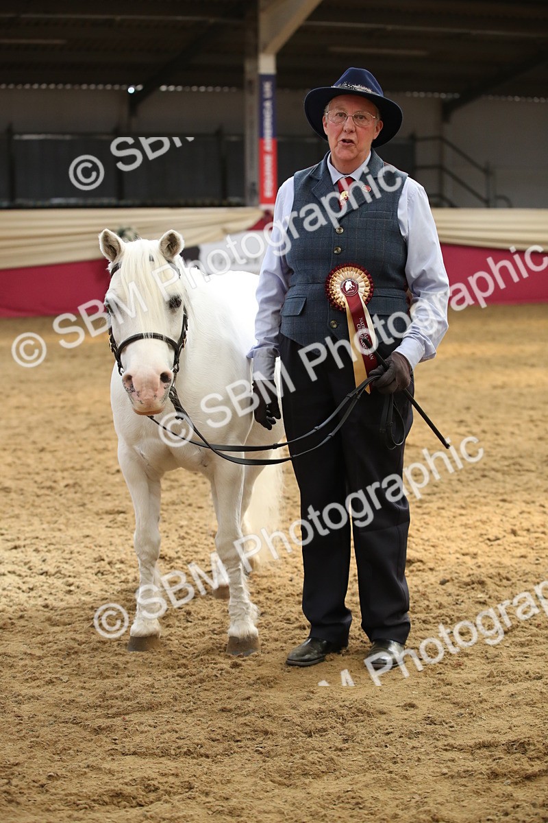 SBM_05447 - Class 8R - Regional IH Veteran