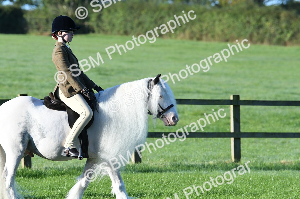 SBM_33881 - S16 - Condition & Turnout - Ridden