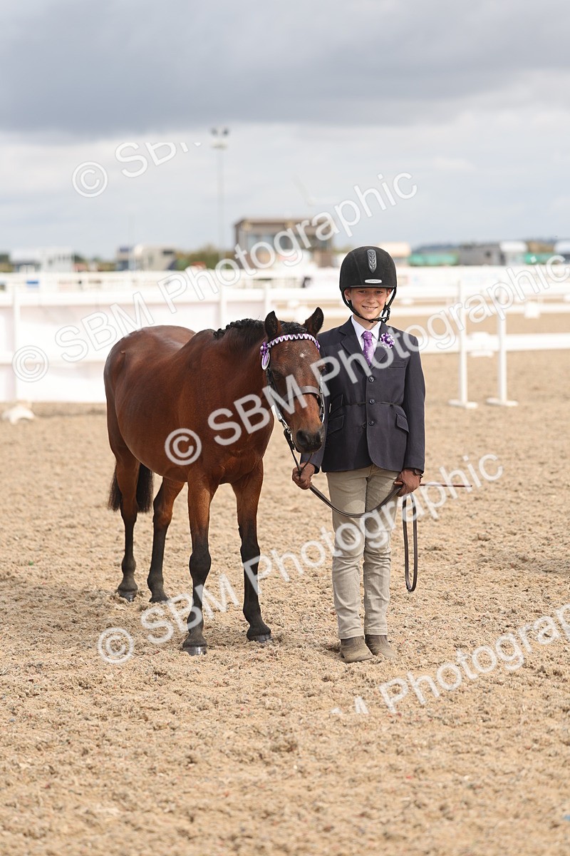 SBM_04551 - Class 19 - Horse/Pony Judge would most like to take home