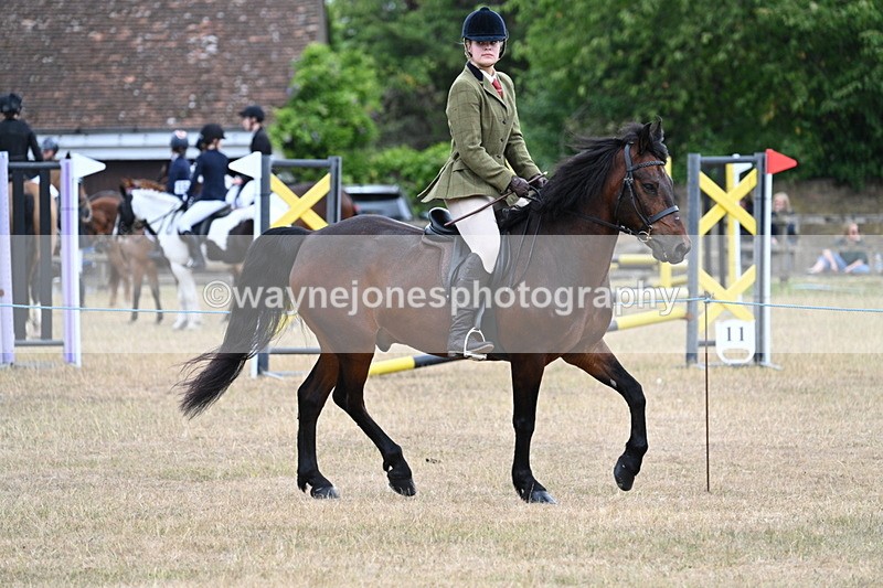 WJ7_0615 - Class 6 Ridden Mountain and Moorland