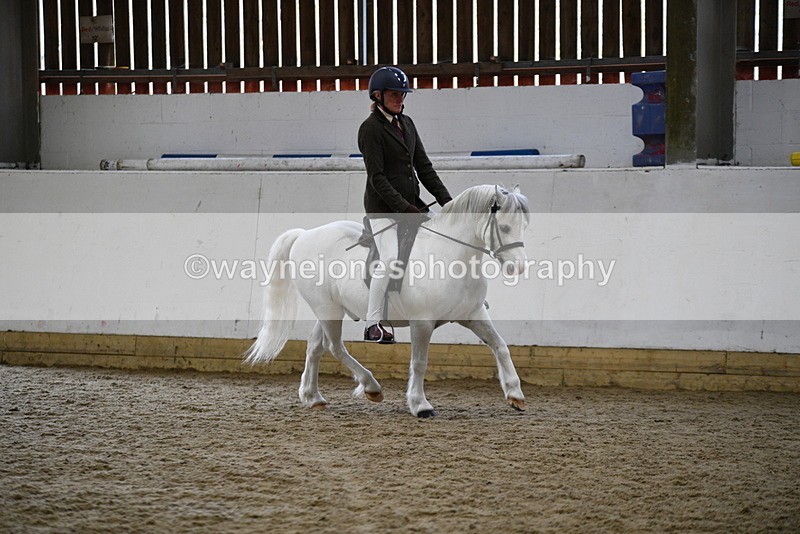 WJ5_6253 - Class 9 Ridden Veteran