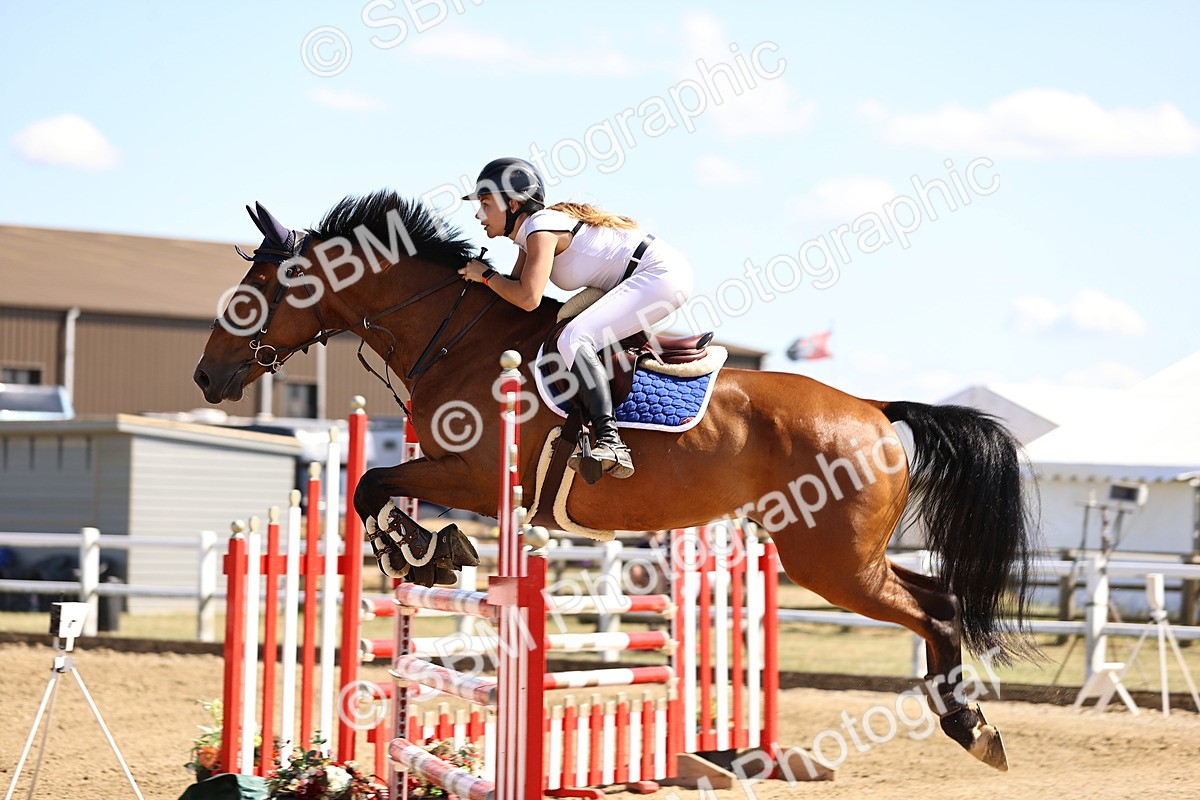 SBM_015305 - Class 16 - Senior foxhunter - 1.20m Open