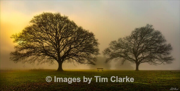 IMG_41411 - Landscapes