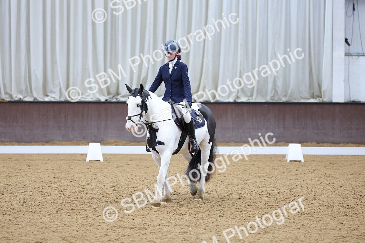 SBM_003087 - Novice