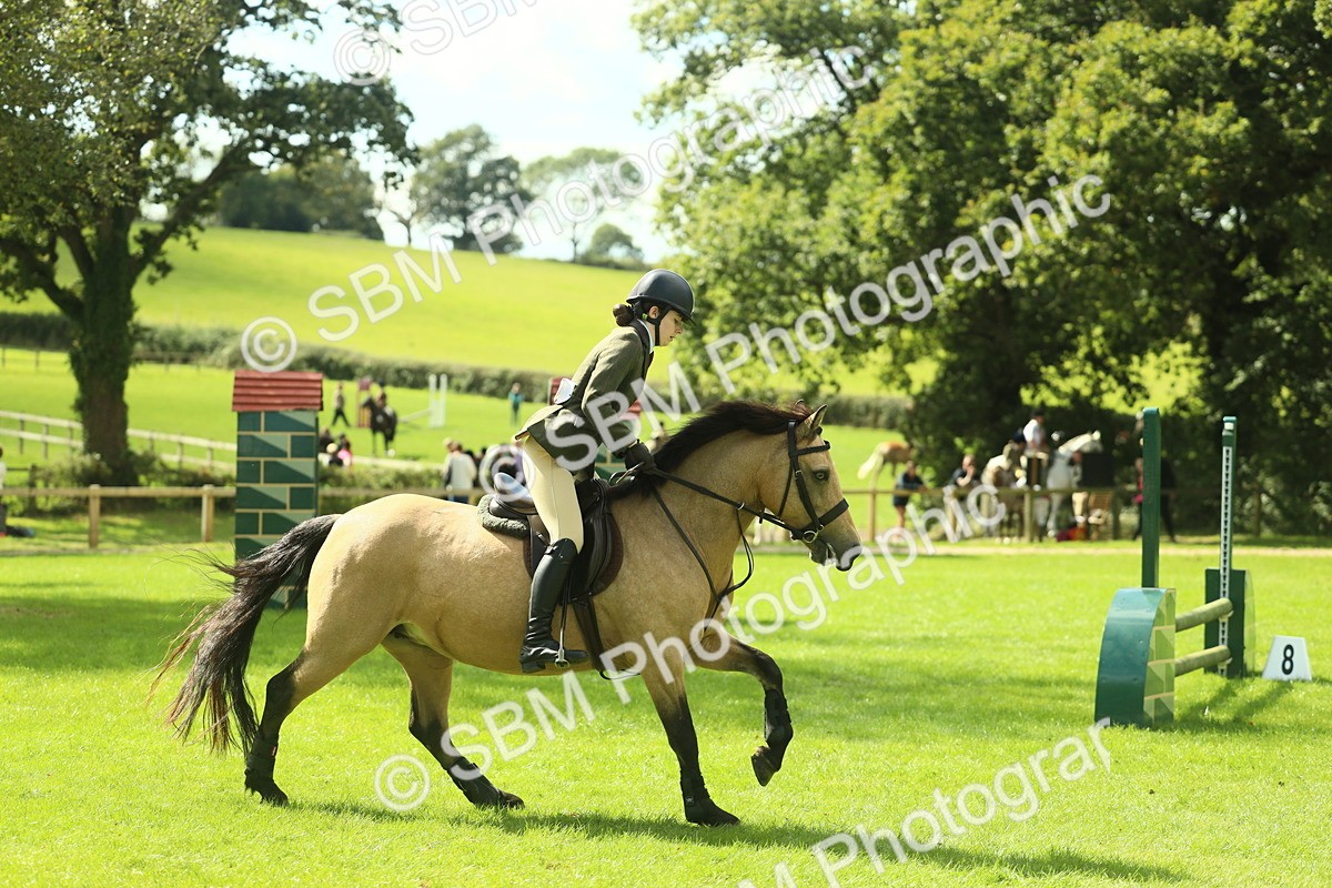 SBM_42855 - S30 - M&M Working hunter Pony