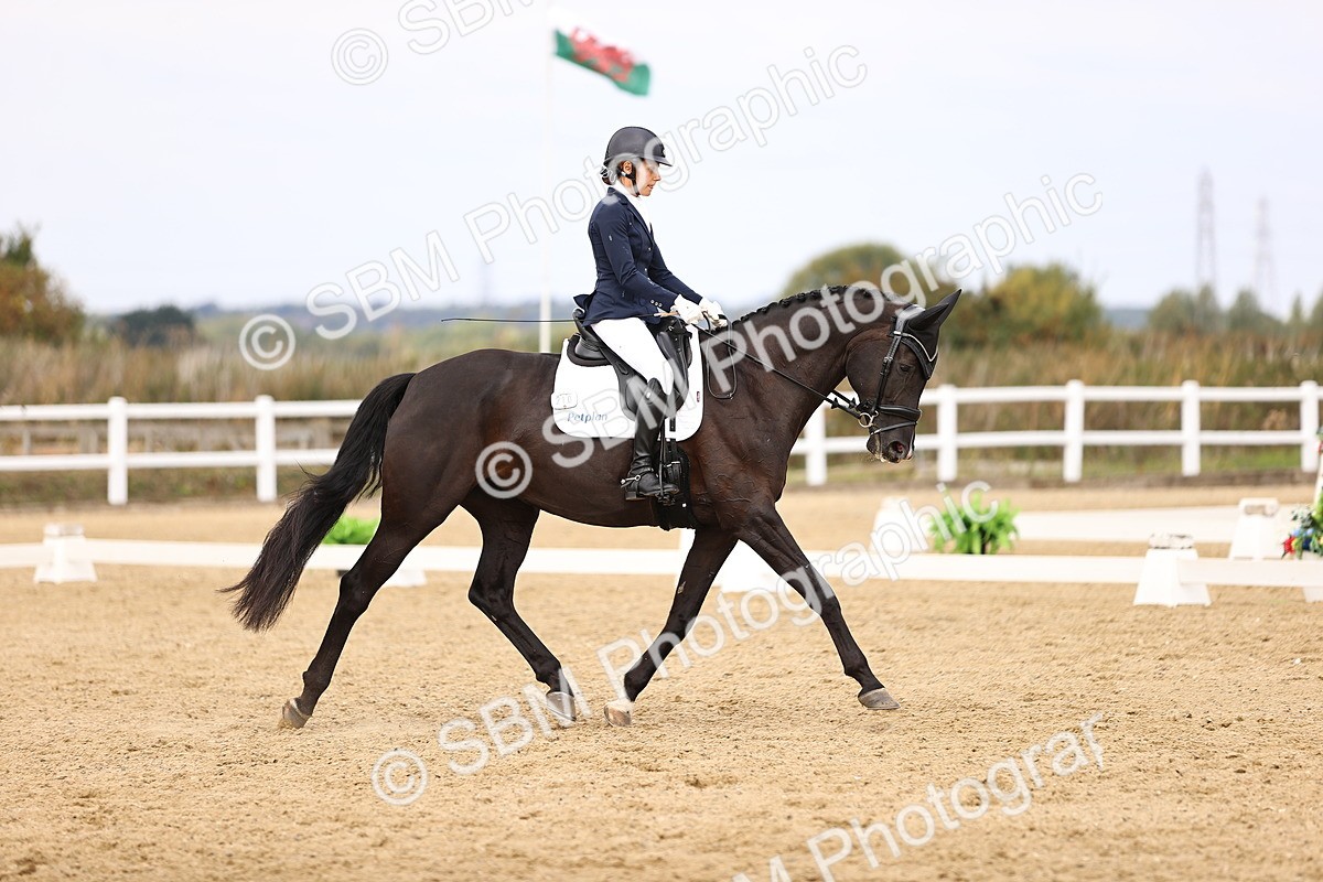 SBM_013817 - Class 4 - Novice 5  12.13-13.02