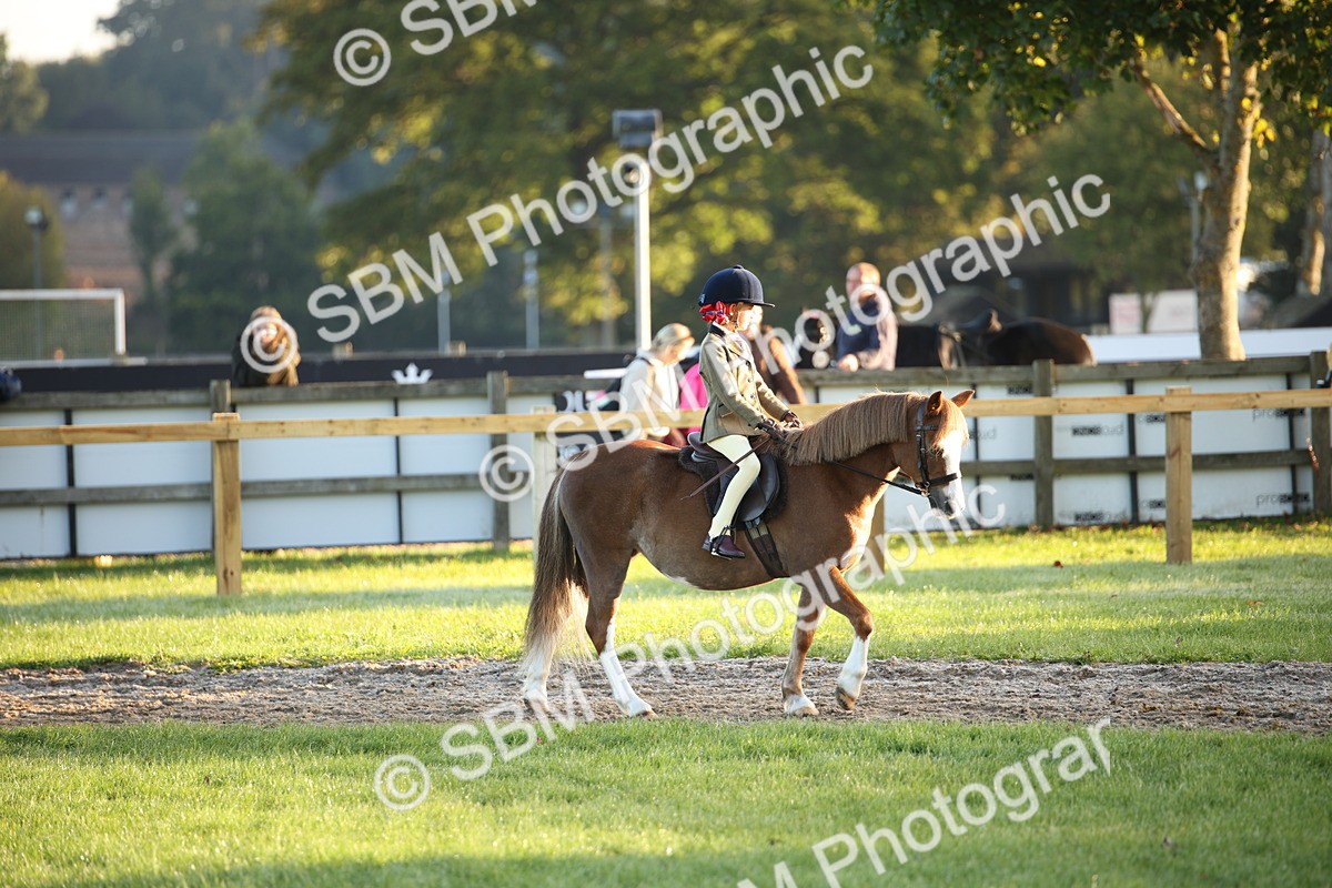 SBM_32256 - S8 - Best Turned Out