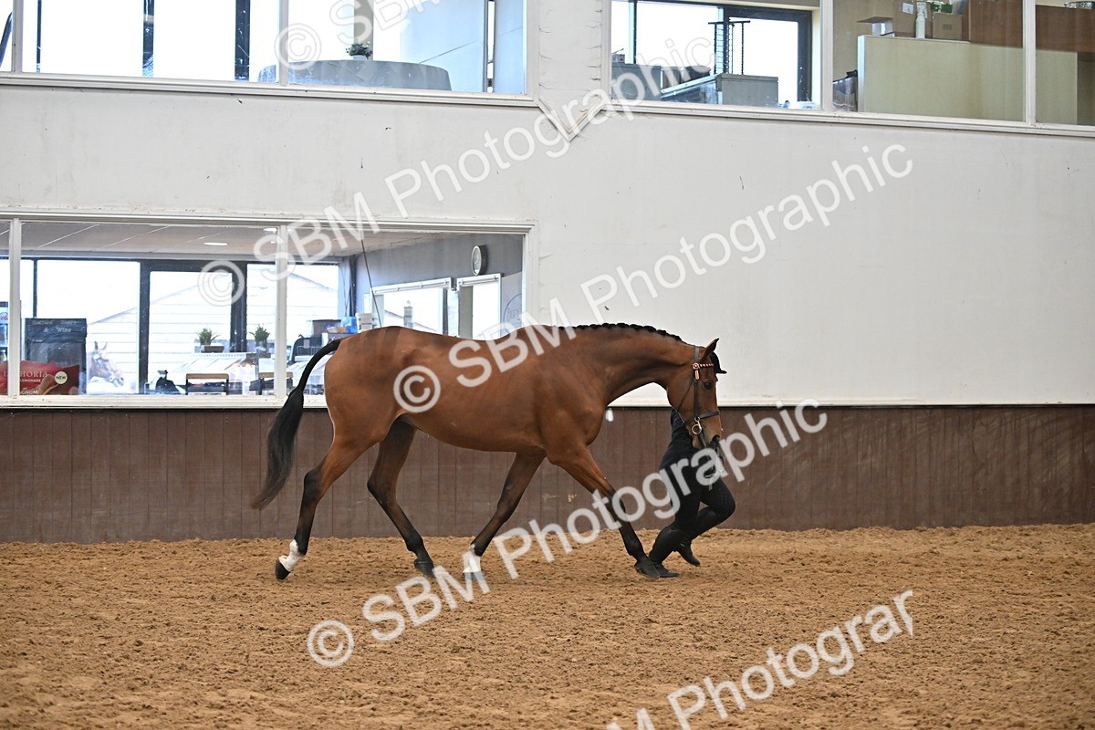 SBM_000214 - Class 7 - ROR Tattersalls In Hand