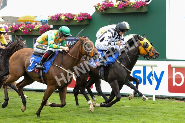 yr23072022r1-54 - Race 1 2.05pm Sky Bet Jump Jockeys Nunthorpe