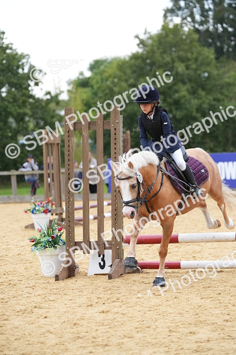 SBM_74575 - J4 - Mini Tour Junior Pony 45cm Championship