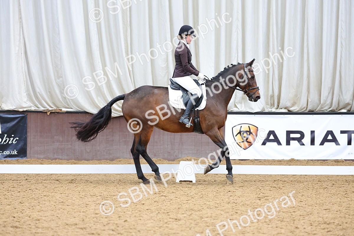 SBM_002019 - Class 5 - Novice 3