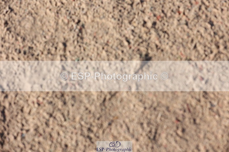 250427-084814-14655 - Cls 28 Young Horse 5yr old