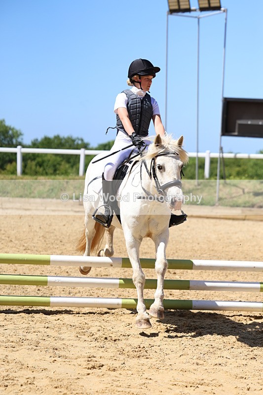 3E7A2527 - Class 4/5: 60cm Open Teams and Individuals