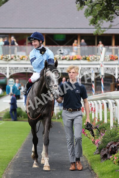 yr19082021r5-35 - Race 5 4.10pm OR8wellness ebfstallions Nursery Handicap