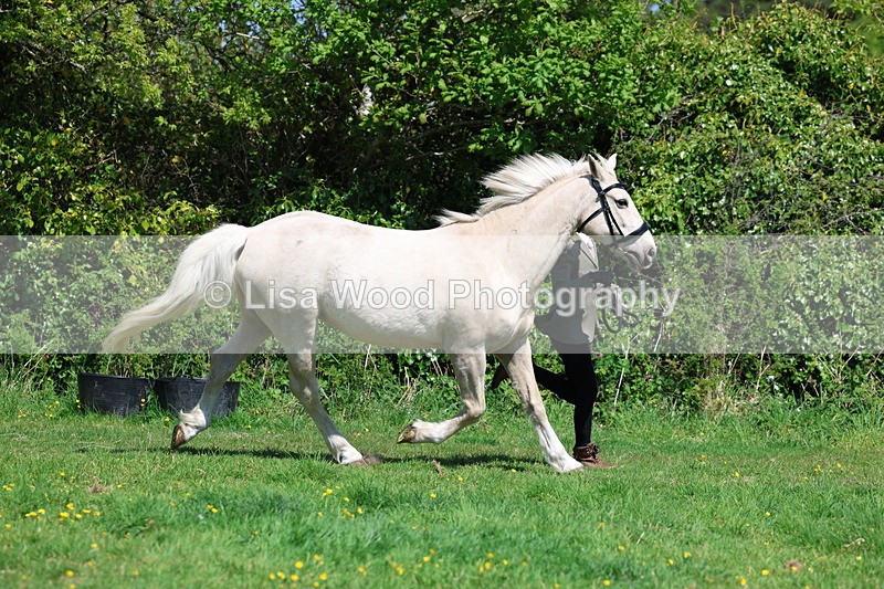 3E7A0245 - Class 19: Best Coloured in Hand