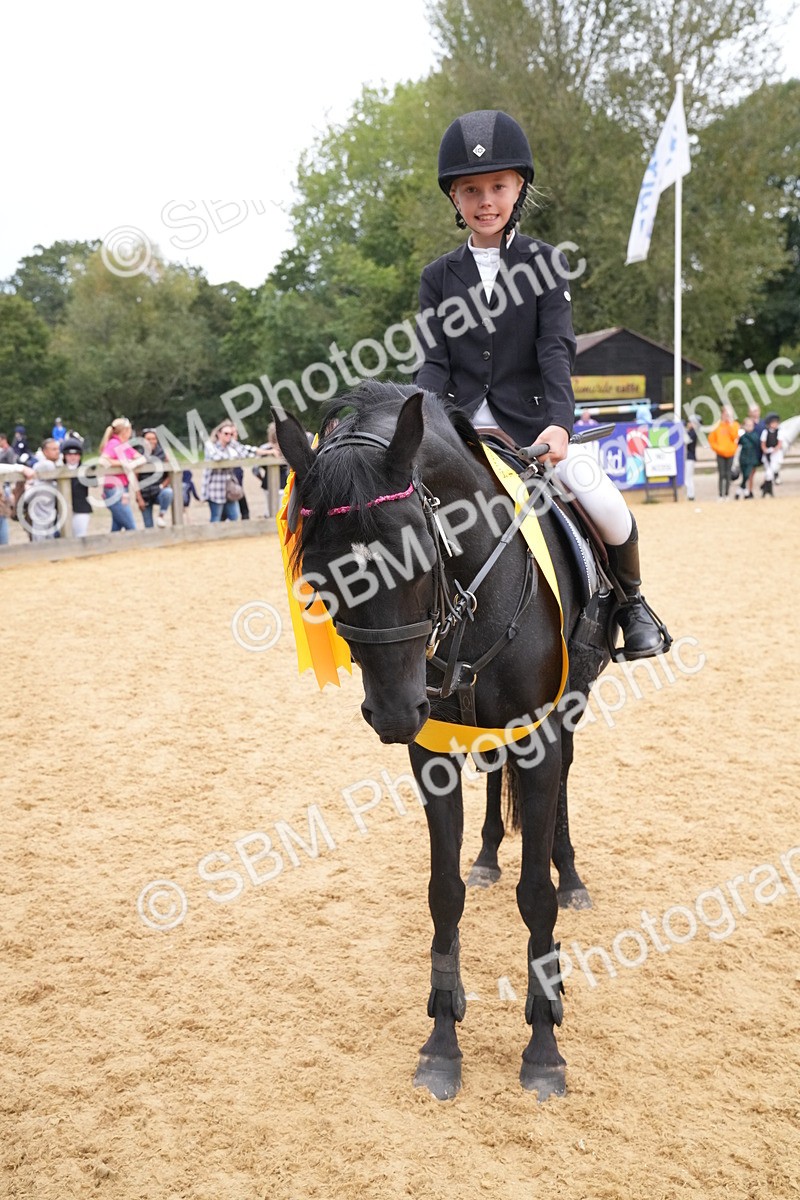 SBM_71763 - J3 - Mini Tour Junior Pony 40cm Championship