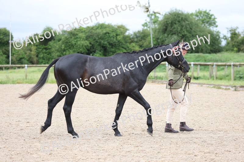 20250524-0111 - Class 2 - Youngstock