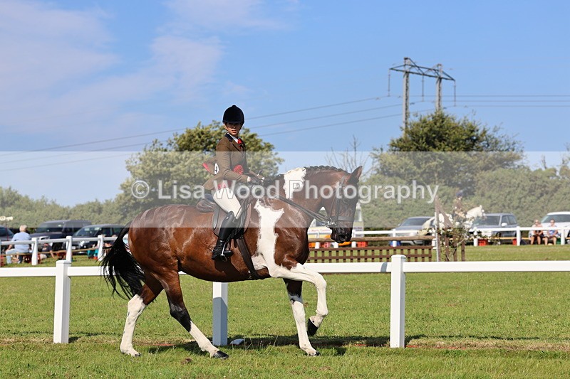 IMG_1645 - Skewbald and Piebald Ridden Championship