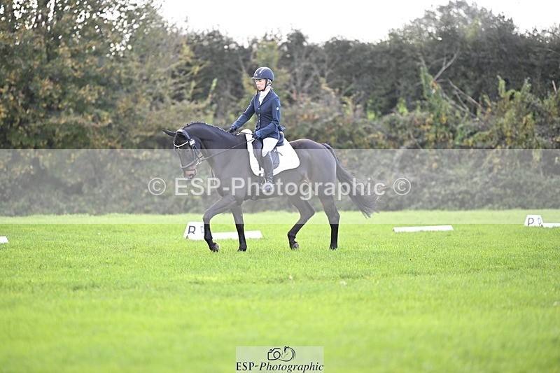 241025-094201-05599 - 353-Cheryl.Beer-LANGALLER.ALPHA.BRAVO