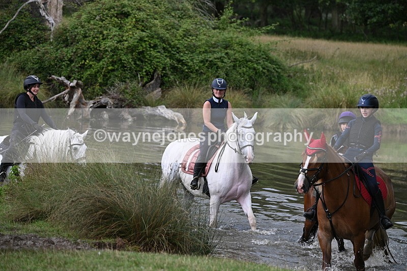 WJ7_4826 - Time at Water 13:26 to 13:59