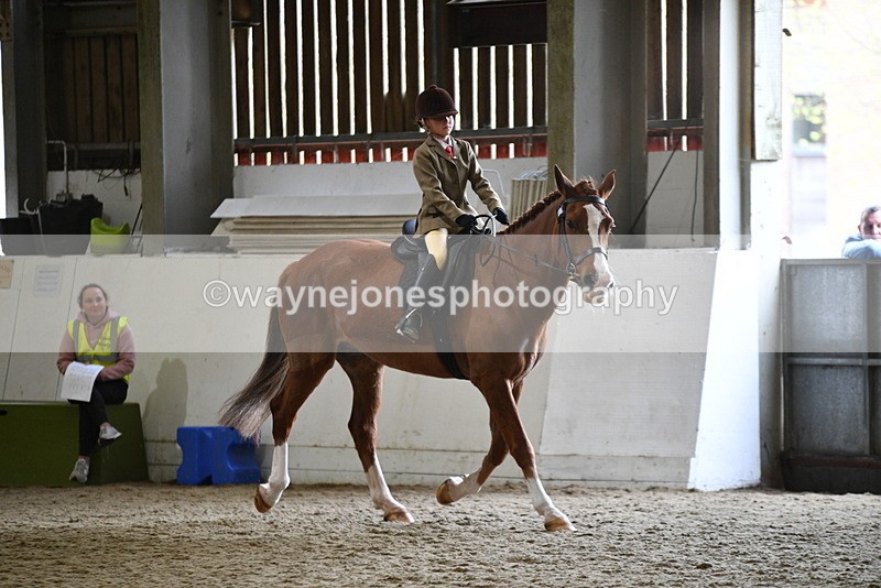 WJ5_6376 - Class 9 Ridden Veteran