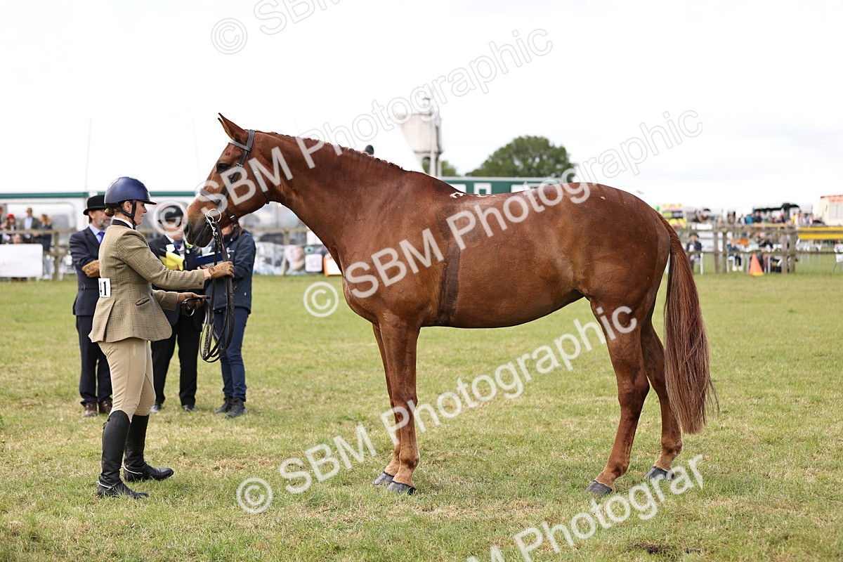 SBM_14749 - Class 88-89 - LIHS BSHA Rising Star of Ridden Hunter Type