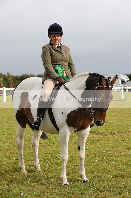 1X9A2954 - Class 25: Ridden Plaited Coloured Horse
