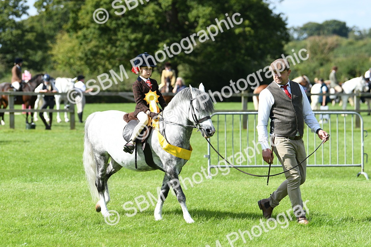 SBM_44263 - Lead Rein Supreme Championship